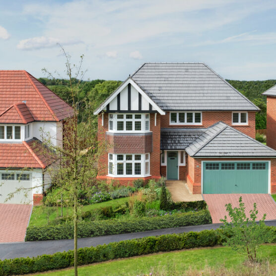 Construction Line Gold Members