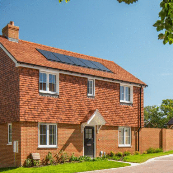 Dandara | Pond Farm, Newington