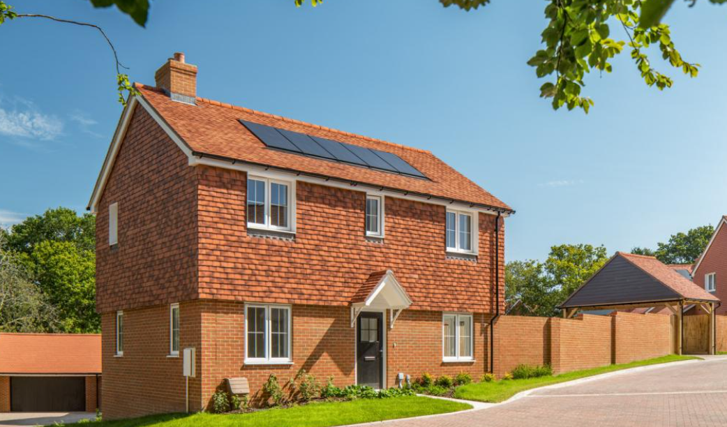 Dandara | Pond Farm, Newington